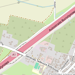 Położenie lecznicy Weterynaria Dobieszowice na mapie